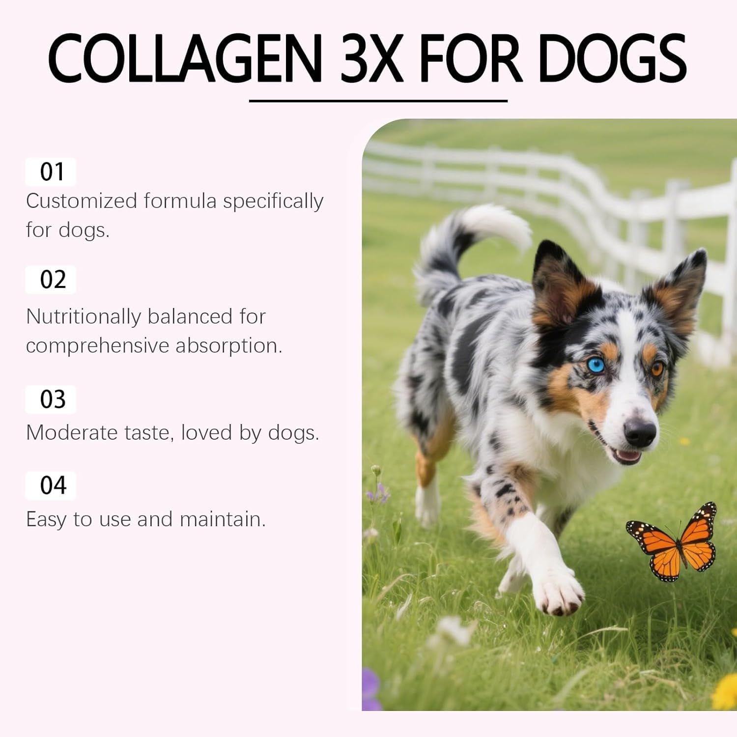Bloom Collagen for Dogs, Bloom Triple Collagen for Dogs, Gentle Formula, Supports Skin and Coat, Joint Comfort, 60ml (2pcs)