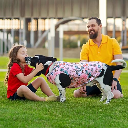 Vista 40 de Camisas refrescantes para perros, camisas para perros extra pequeñas, ropa para perros machos y hembras, camisetas refrescantes para Yorkie