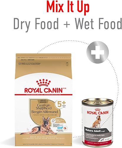 Miniatura 6 de Royal Canin German Shepherd - Alimento seco para perros adultos mayores de 5 años, bolsa de 28 libras