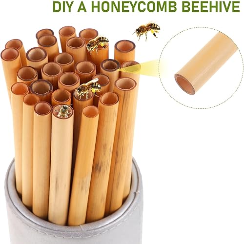 Miniatura 7 de TEHAUX Varillas de bambú, 50 unidades, tubos de cartón para abejas, tubos de repuesto para apicultores, tubos de recambio de anidación, insertos de