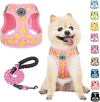 Vista 16 de BEAUTYZOO - Juego de arnés y correa para perros y gatos pequeños, extrapequeños y medianos, arnés tipo chaleco fácil de poner, antiasfixia