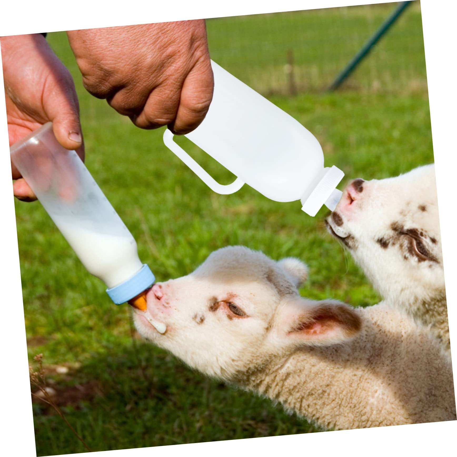 4piezas Botellas De Leche Para Terneros Biberones De Alimentación Para Mascotas Botellas Para Perros y Gatos Accesorios De Cuidado Animal