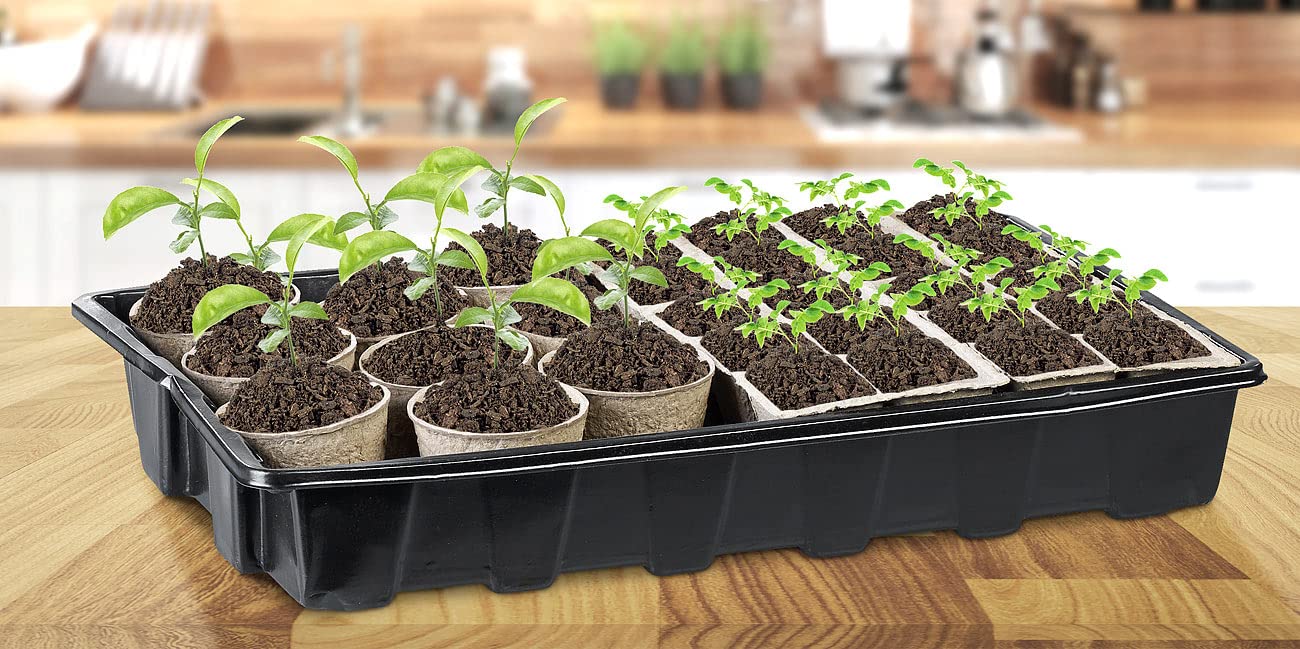 Royal Gardineer kit di germinazione: 84-pezzi Set di coltivazione delle piante, Vasi per semina biodegradabili, personalizzabili (vasi per la semina, set coltivazione piante, coltivare)