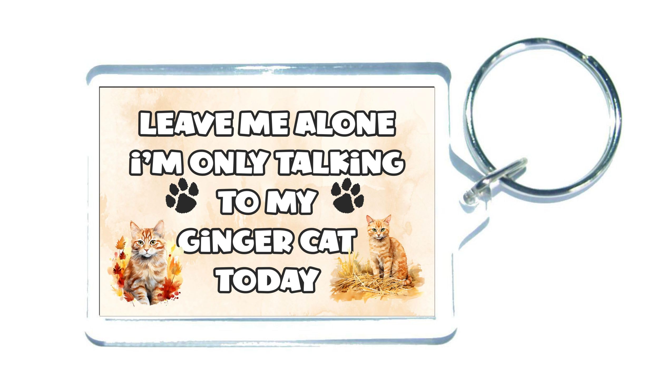 Decalarama Clear Ginger Cat Keyring Gift – Leave Me Alone I'm Only Talking To My * Today - Fun Cute Novelty Kitten Present