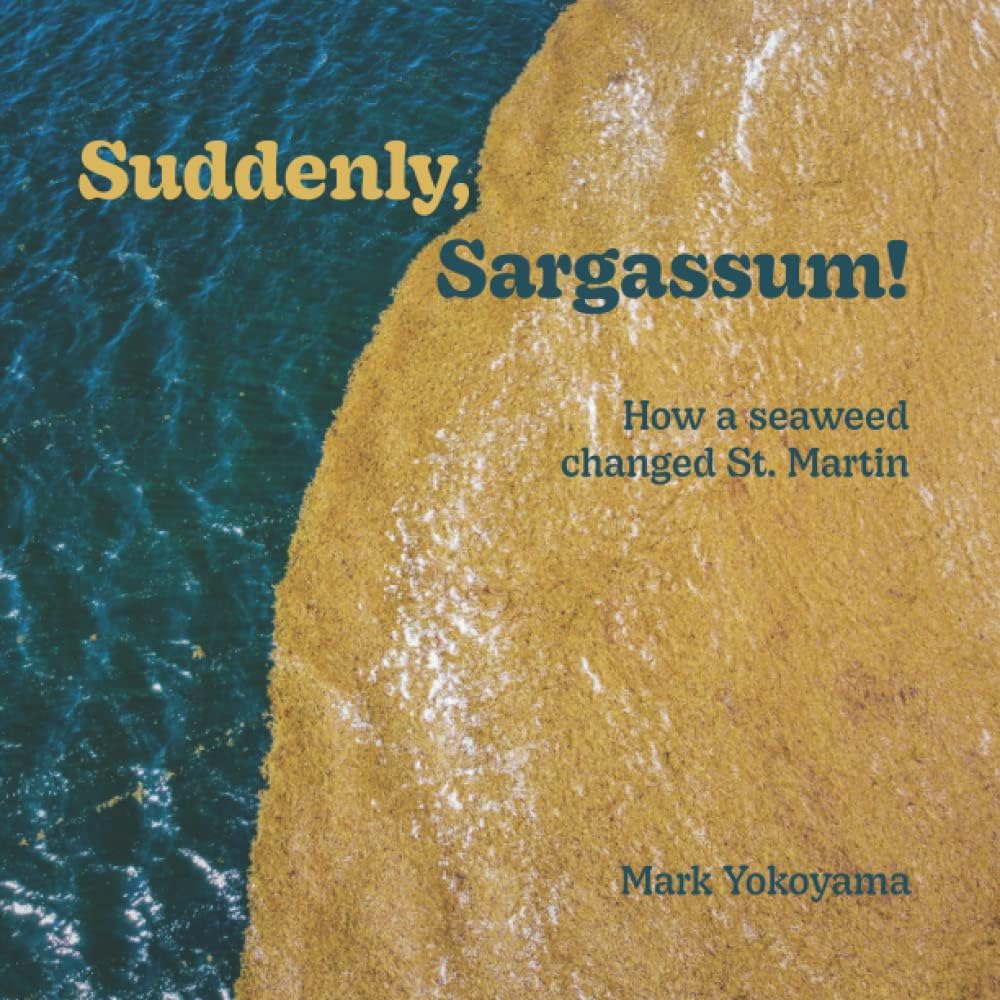 Suddenly, Sargassum!: How a seaweed changed St. Martin