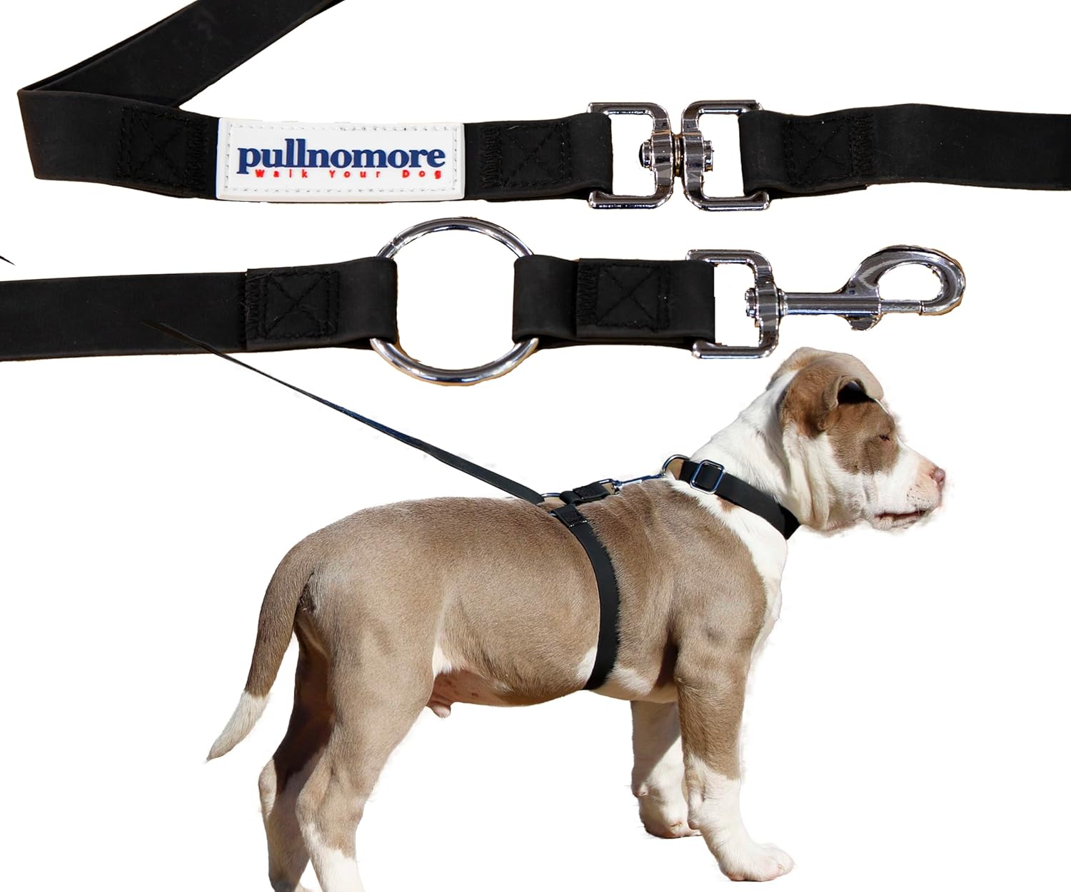 No-Pull Dog Leash, Chew Resistant, Waterproof, Durable PVC Material, Multiple Sizes and Colors (Black, Small)