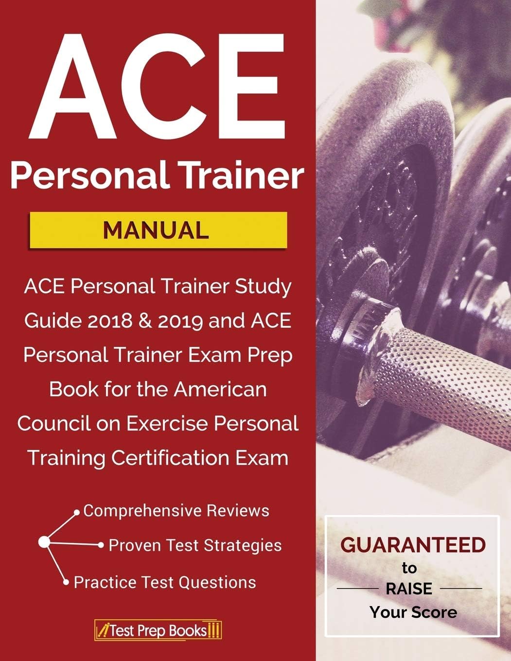 ACE Personal Trainer Manual: ACE Personal Trainer Study Guide 2018 & 2019 and A