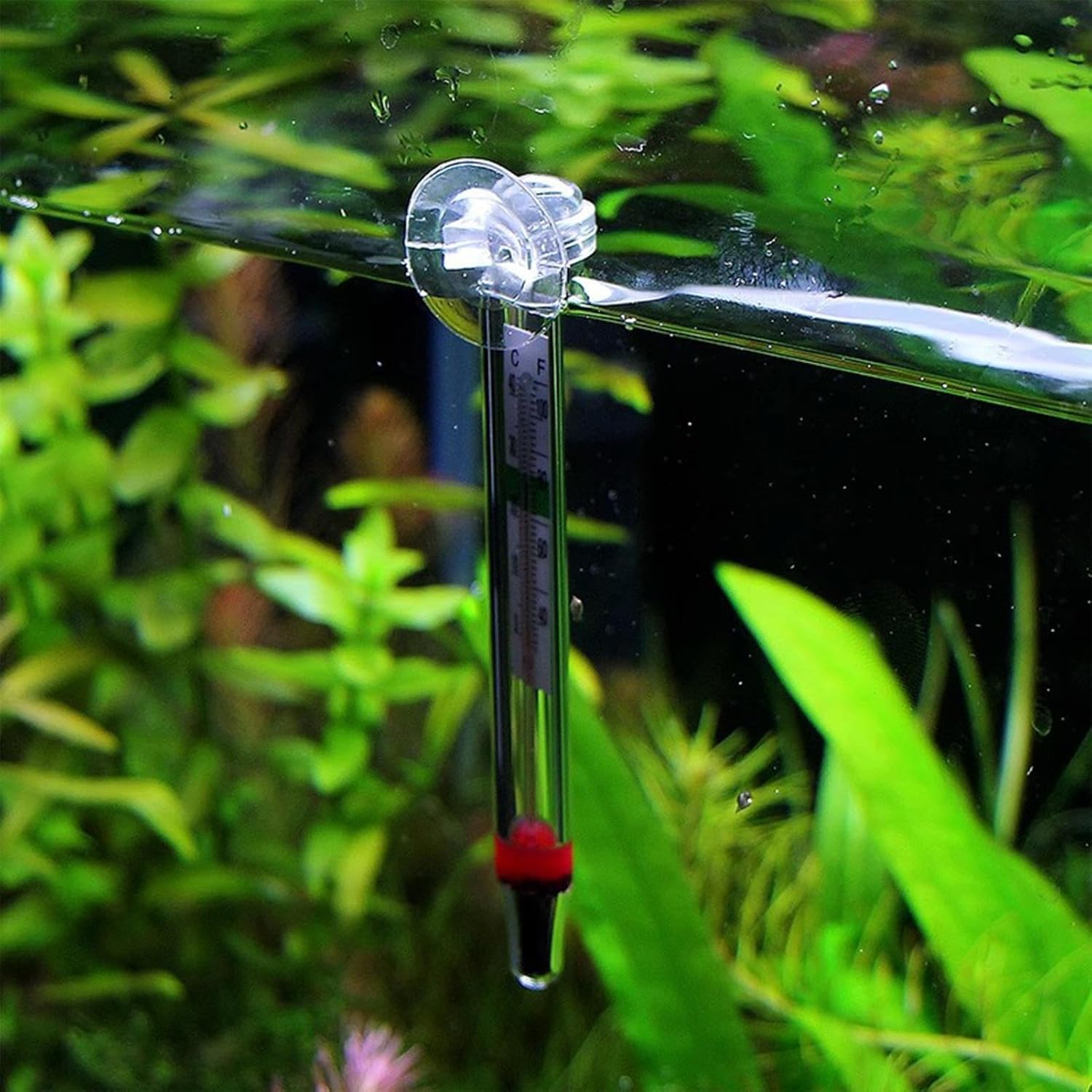 Water Thermometers | Digital Thermometers for Fish Tank,High-Precision Tester with Clear Easy-to-Read Design for Freshwater Saltwater Reptile Environments - Image 3