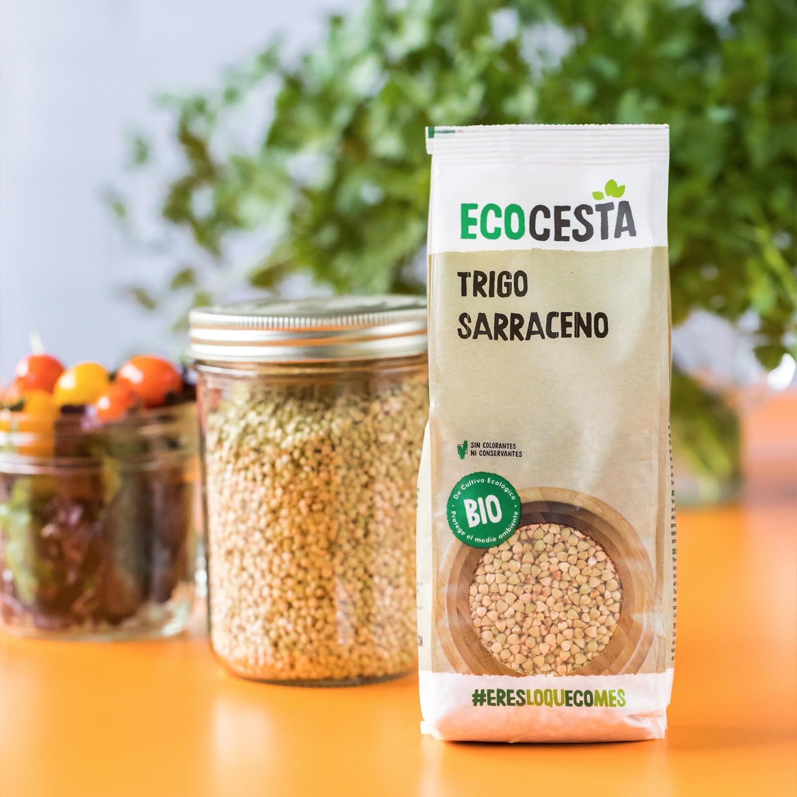 Ecocesta - Pack de 12 Unidades de 500 g de Trigo Sarraceno Ecológico - Apto para Veganos - Ayuda a Mejorar el Proceso Digestivo - Rico en Hidratos de Carbono y Proteínas