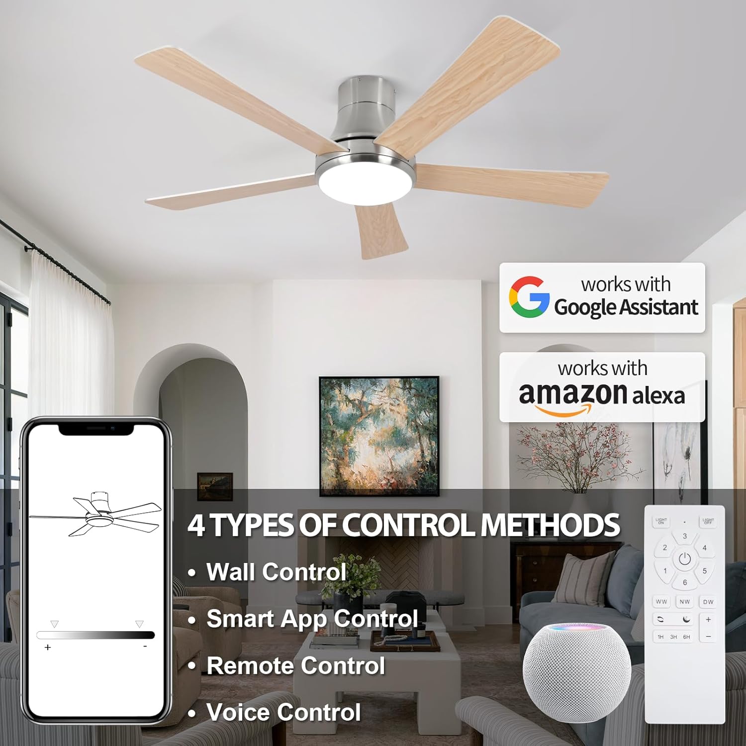 https://m.media-amazon.com/images/I/71nty6q1e-L._AC_SL1500_.jpg