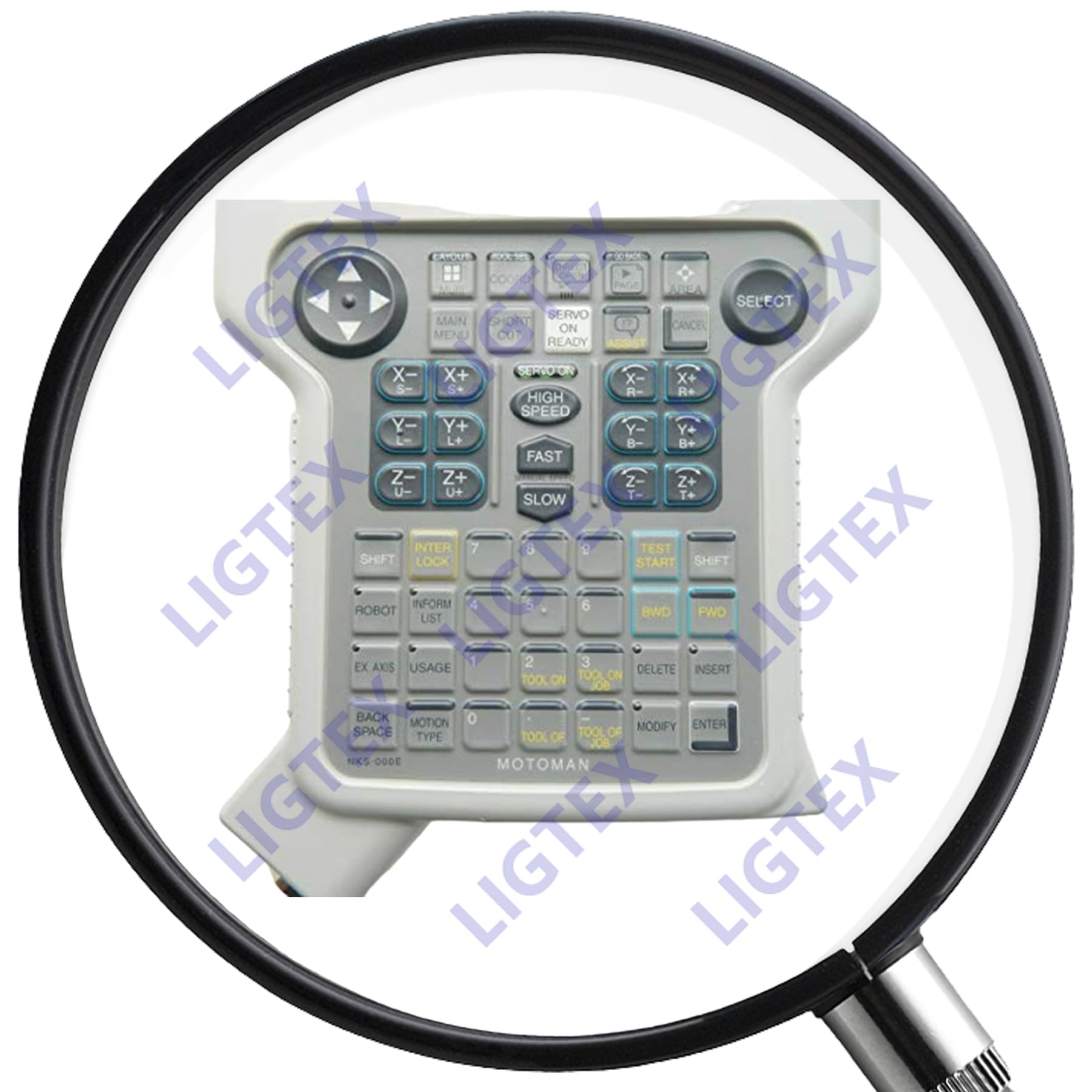 ティート　ネペンチョップロワー ティート ネペンチョップロワー