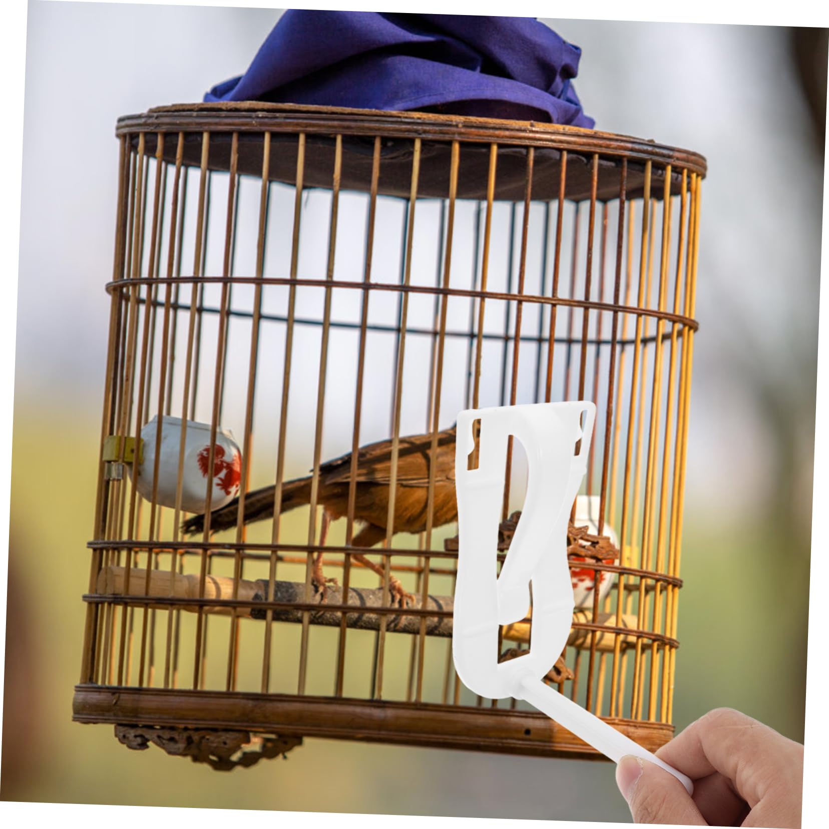 BESPORTBLE Support Os Seiche Abs pour Cage à Oiseaux Pince Alimentaire Polyvalente pour Légumes Et Friandises Accessoire Adapté Perruches Canaris Cockatiels Finches