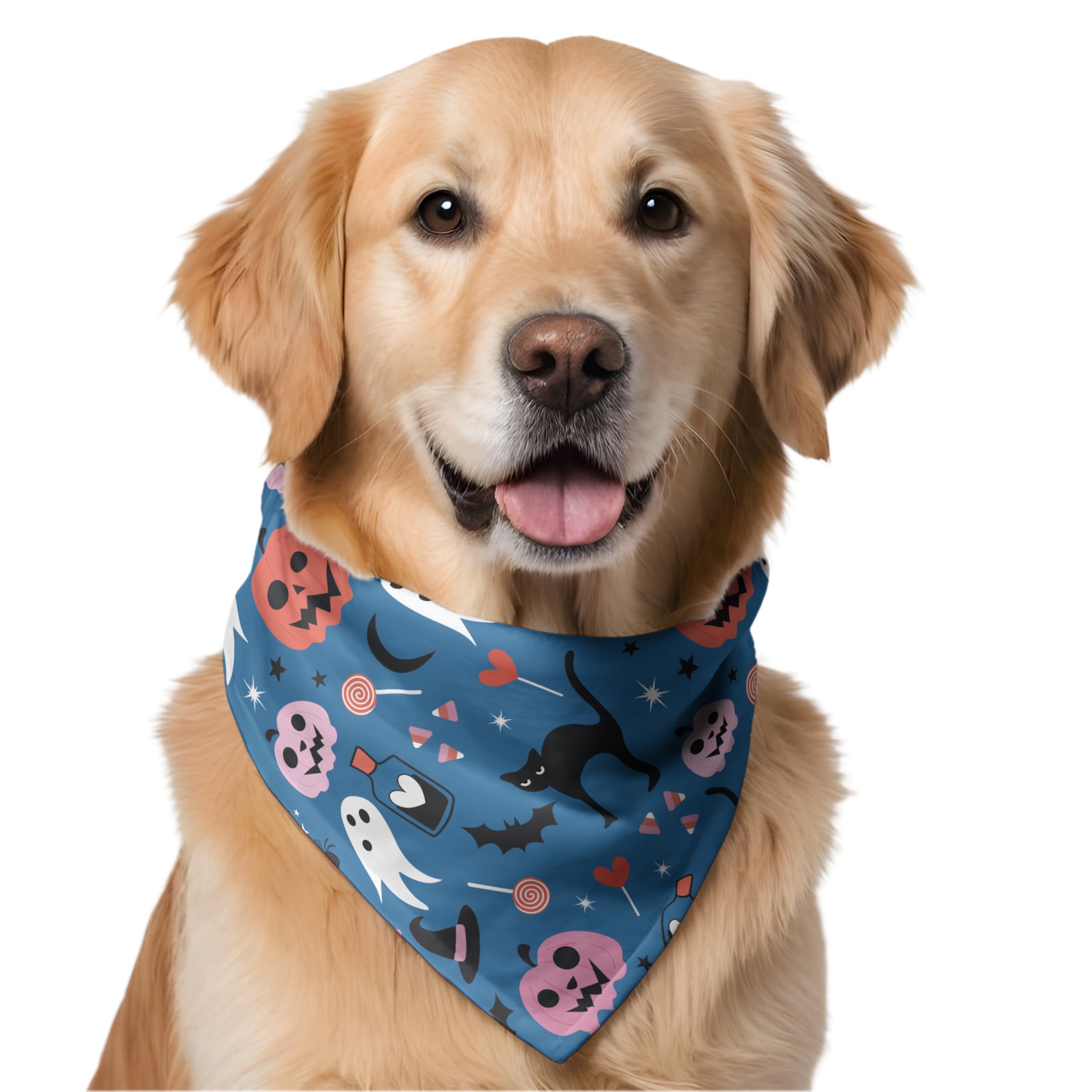 W brings Halloween Dog Bandana – Triangle Scarf for Pets | Adjustable Knot Tie Around Neck Accessory for Dogs – Festive Halloween Print (One Size Fits Small, Medium & Large) - Green (Blue)