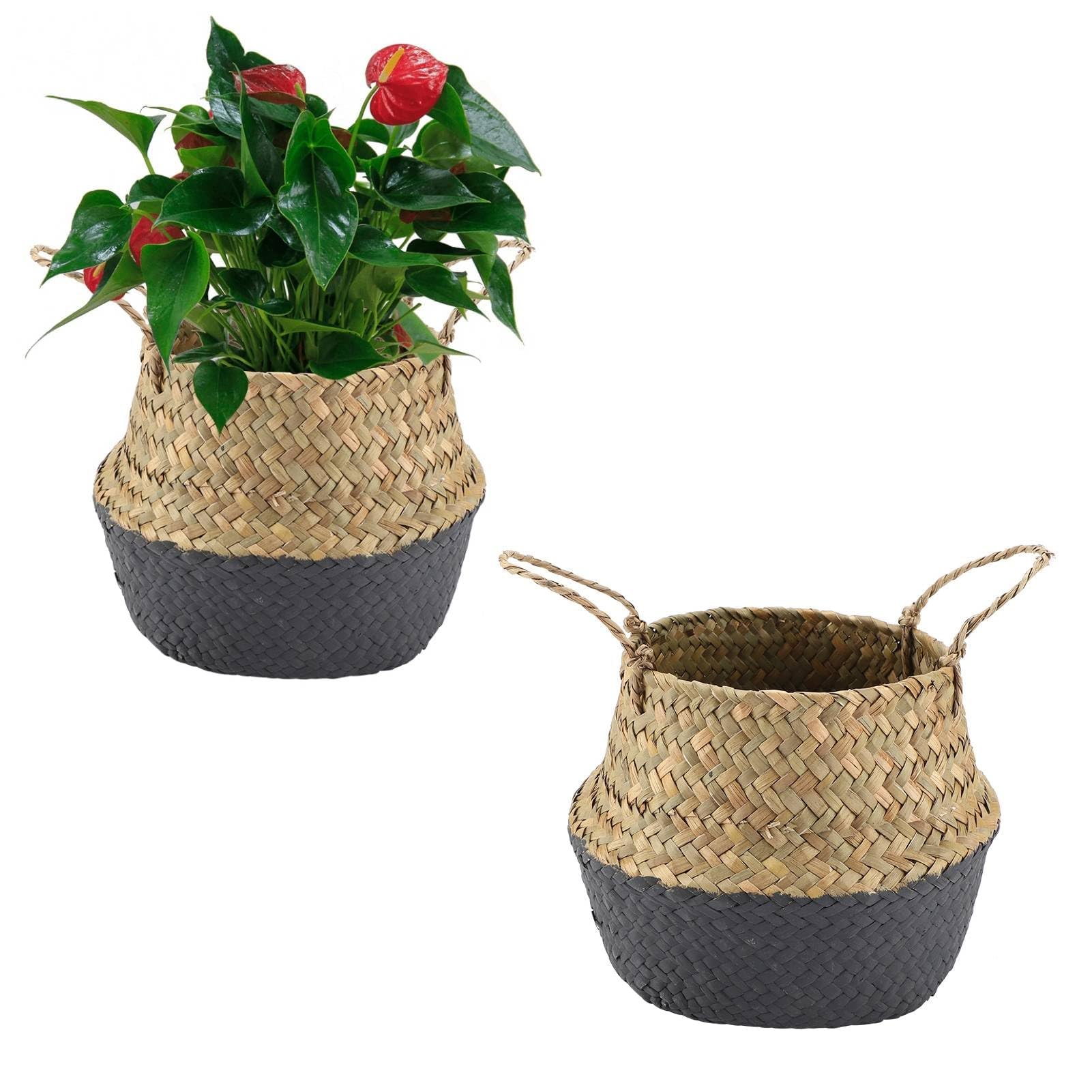 2PCS Seagrass Plant Basket Seagrass Belly Basket Woven Plant Pot Holder Home Wicker Plant Basket Woven Storage Basket Seagrass Planter Pot Flower Pot with Handles for Living Room Shelf Entryway