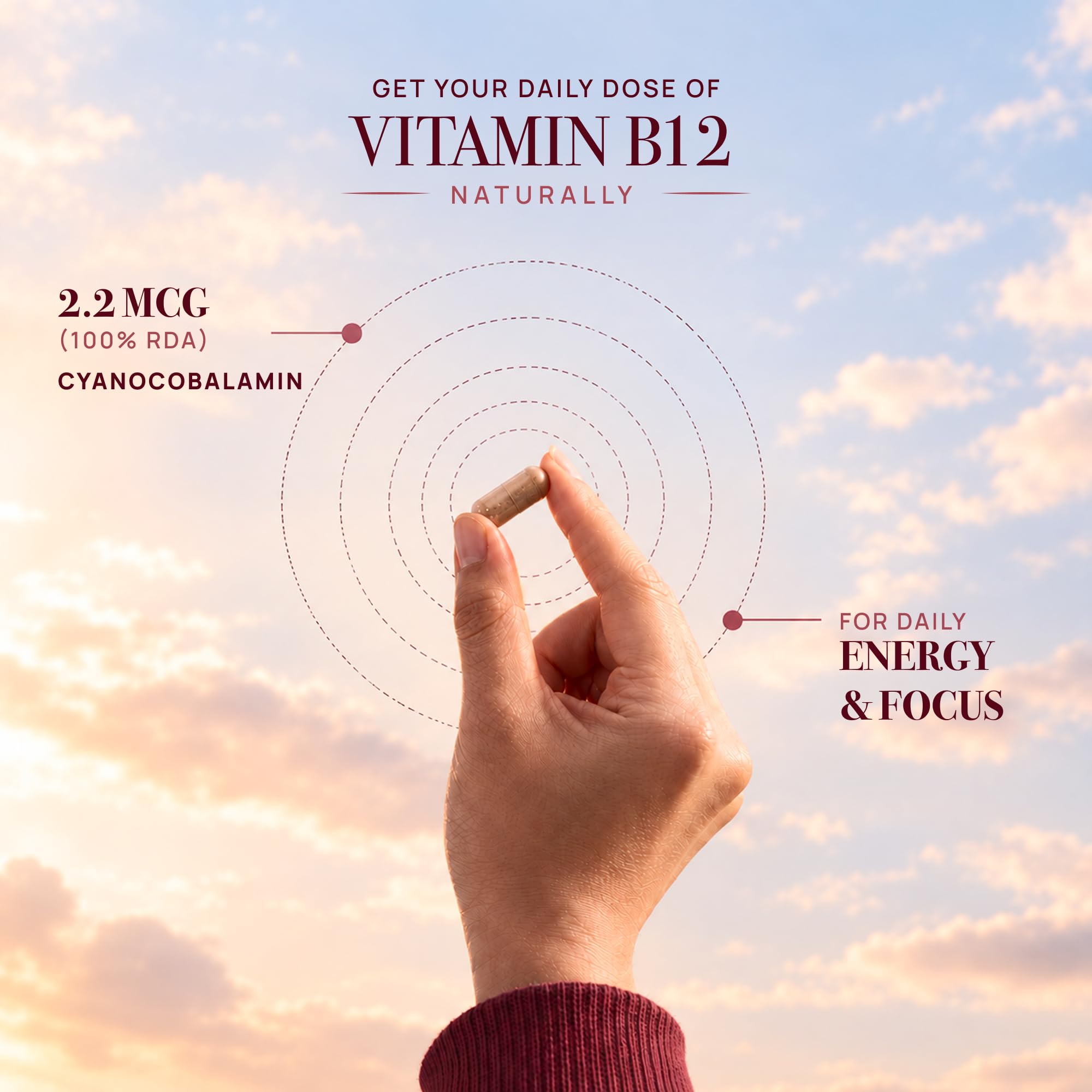 Rasayanam Plant-Based Vitamin B12 | 100% Vegan Vitamin B12 | Enriched with 7 Superfoods like Moringa, Amla & More | Supports Energy, Nerve Health & Brain Function | 120 Veg Capsules — Amazon image 2