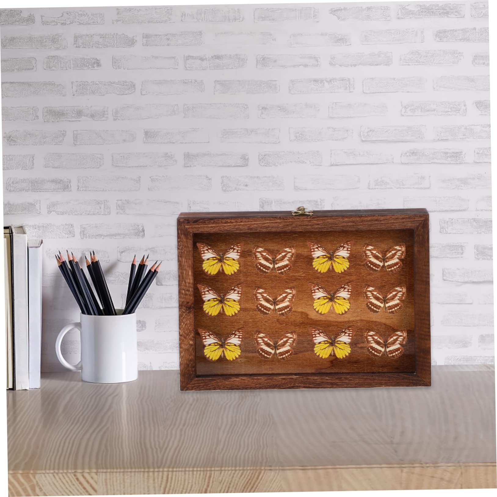 LIFKOME 1pc Box Specimen Display Box Jersey Frame Display Case Display Cabinet Storage Boxes with Lids Seashell Display Case Shadow Boxes Tabletop Display Case Coffee Acrylic