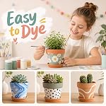 4 Pack Terracotta Plant Pots with Saucer, Large 6 Inch Terra Cotta Plant Pot with Drainage Hole, Clay Flower Pot with Tray for Indoor Outdoor Plants, Crafts Terra Cotta Planter