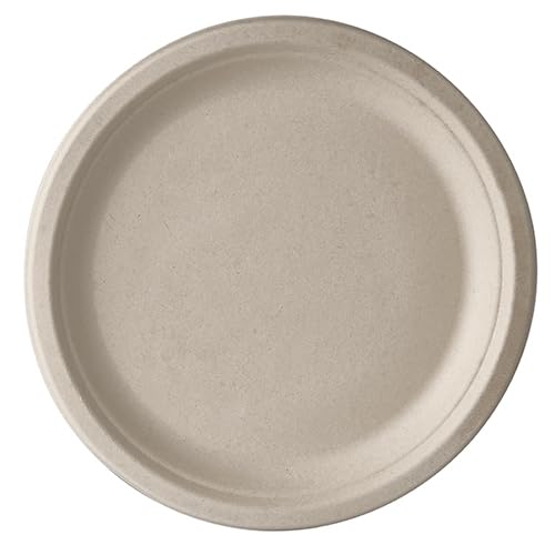 500 platos de caña de azúcar 'pure' sin dividir, diámetro de 23 cm, 2 cm, color natural