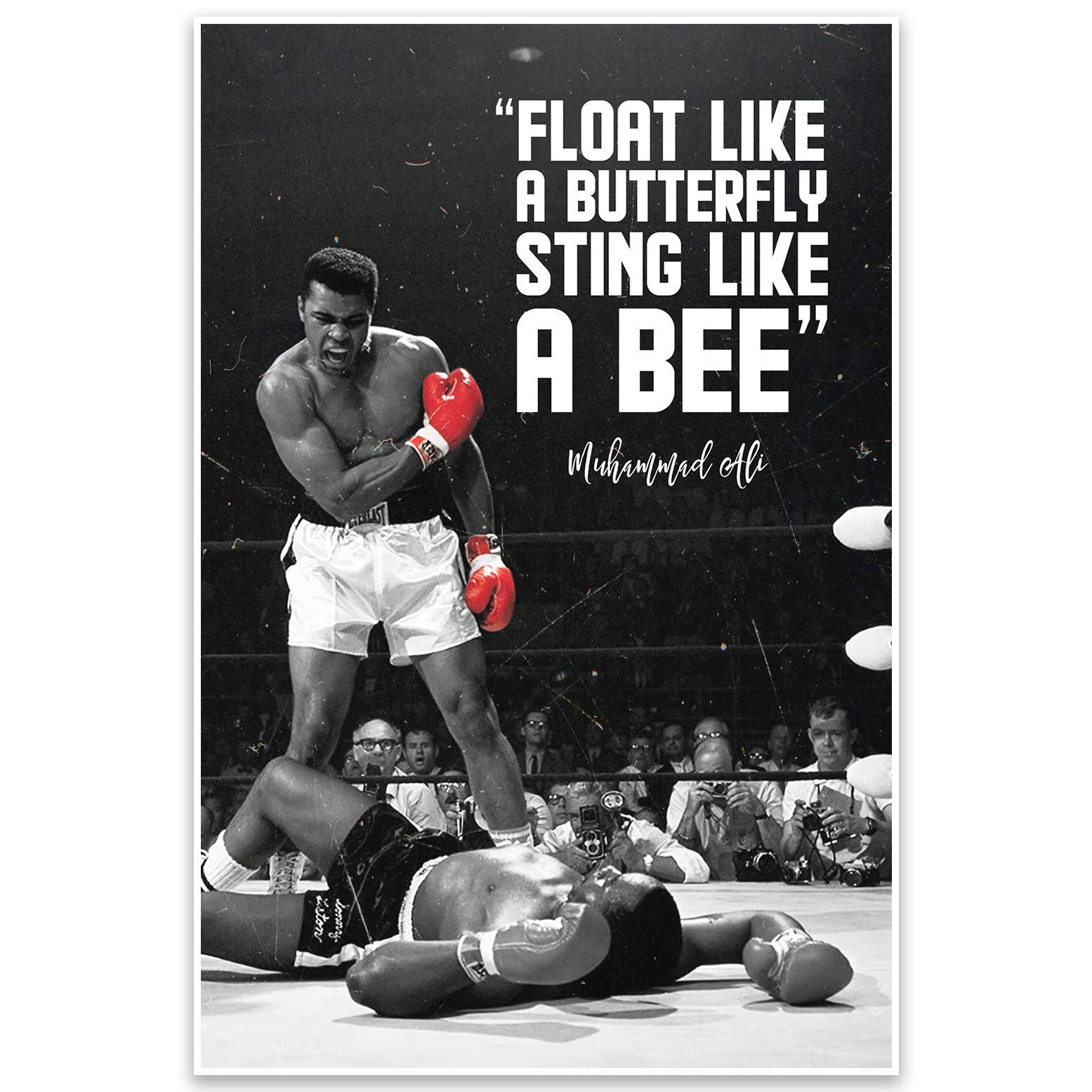 Muhammad Ali Motivational Quote Wall Art Poster