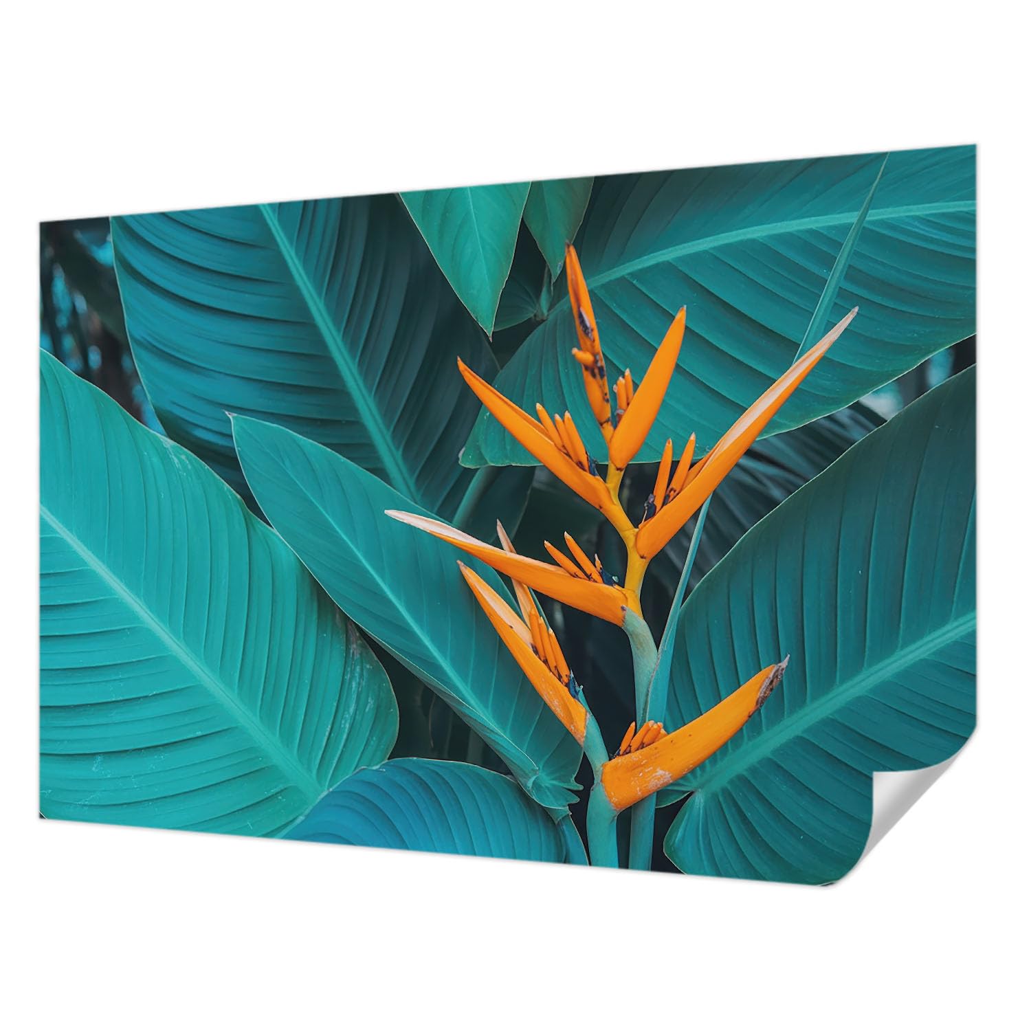 Fotomural moderno flores frondosas papel tapiz adhesivo decorativo de pared