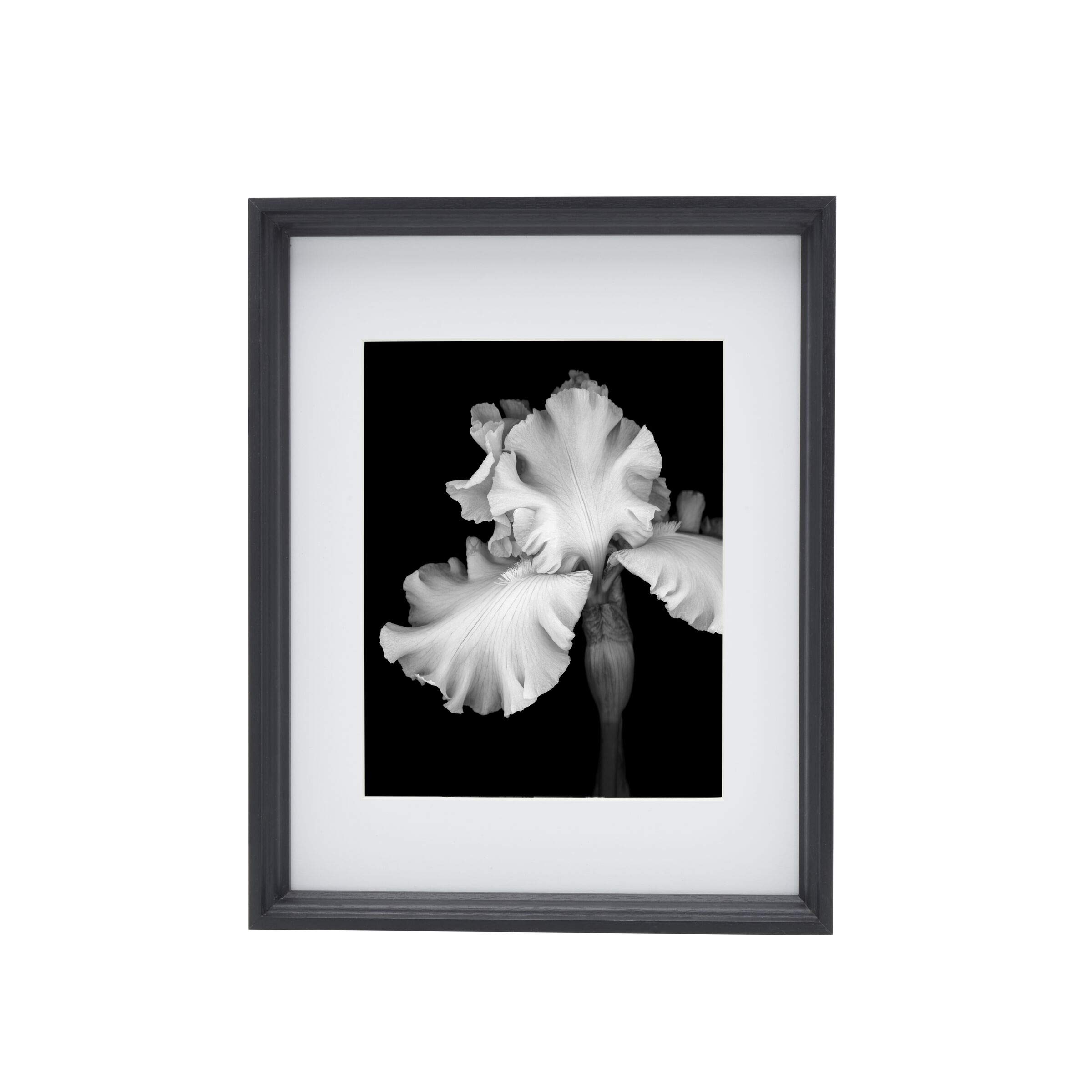 Studio NovaPicture Frame Displays 8 x 10 Photos 11 x 14 Without Mat, 11x14-Matted 8x10, Black
