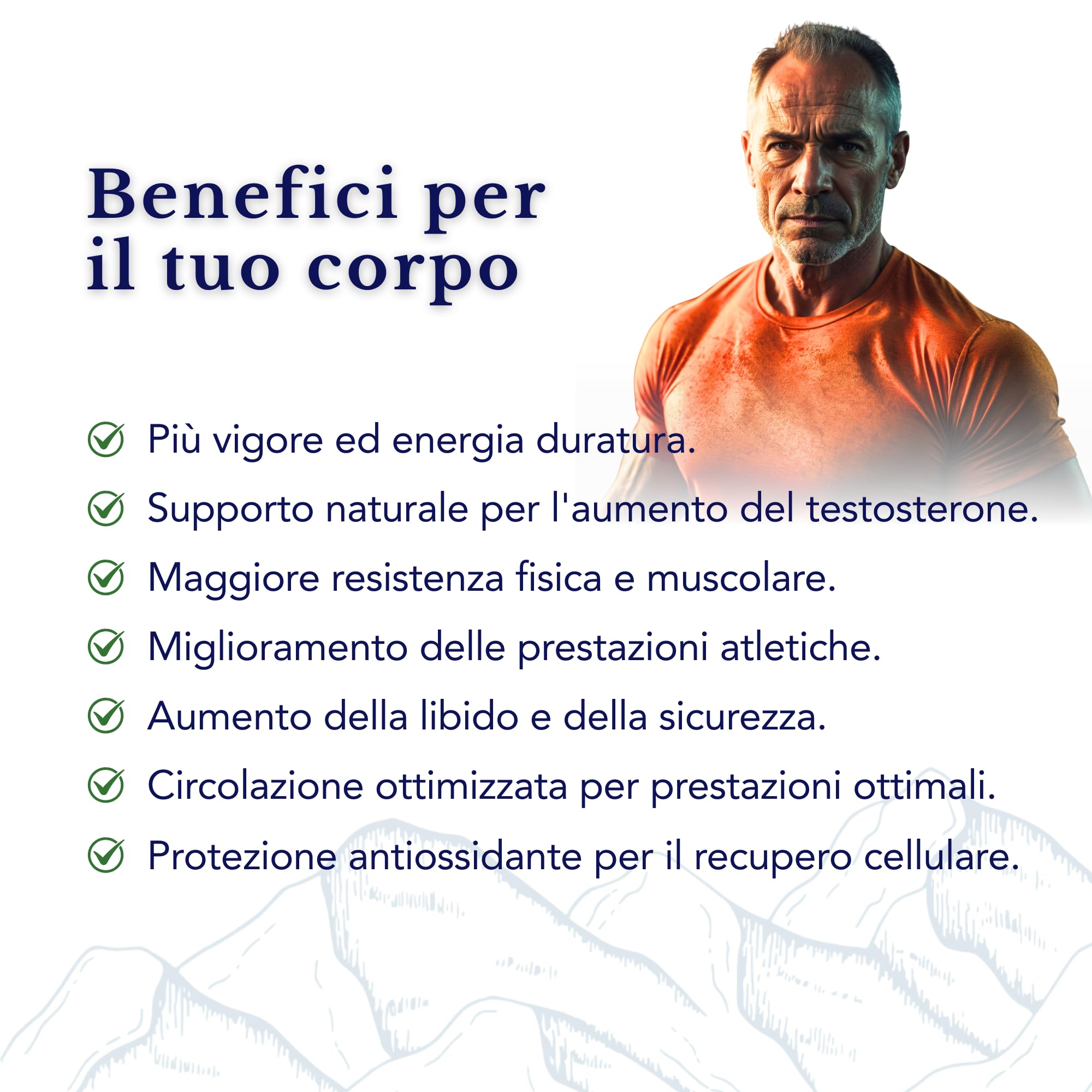 Tribulus Terrestris, Maca, L-Citrullina, Trans-Resveratrolo, Selenio - SmartAbsorb™ | per energia, circolazione e immunità | 28 bustine giornaliere