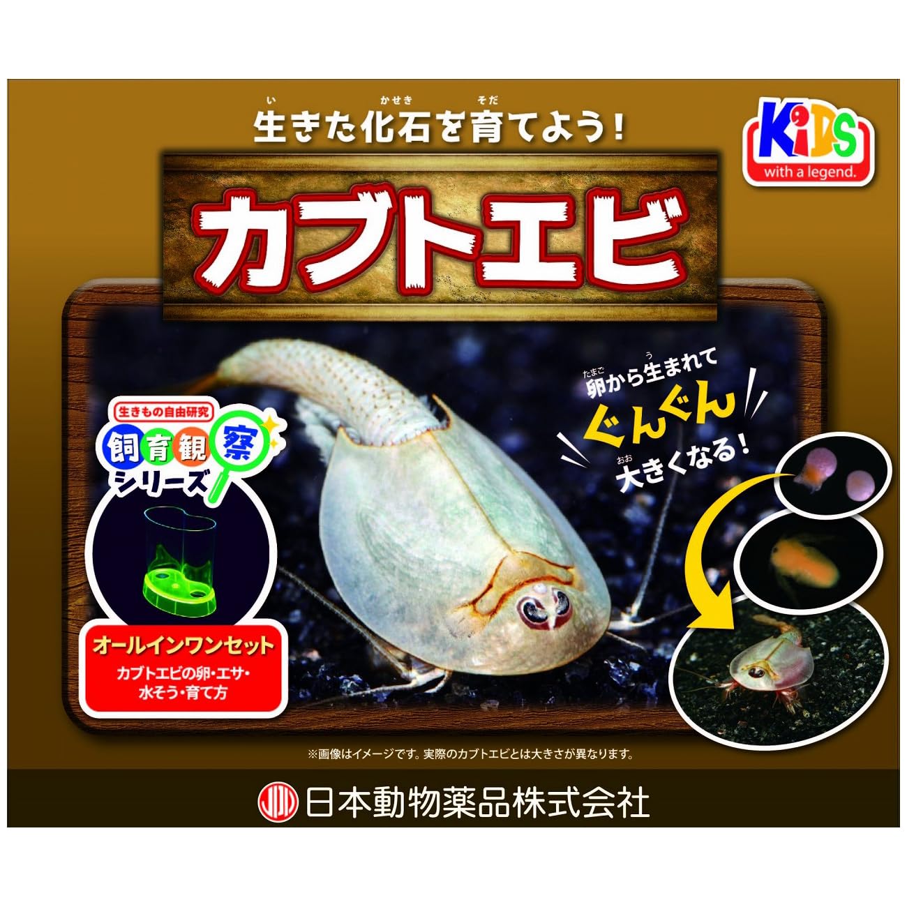 Amazon | ニチドウ 飼育観察セット カブトエビ | ニチドウ | 飼育
