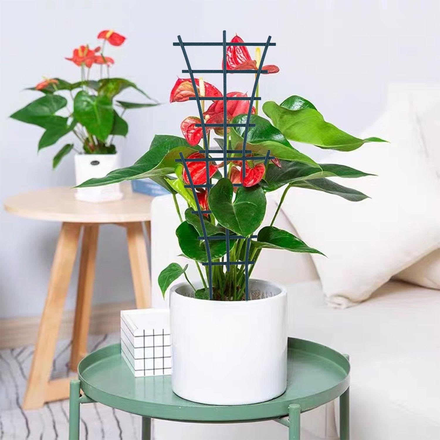 6 Pezzi di Rastrelliere A Rete E 100 Cravatte, Staffa per Arrampicata per Piante, Staffa di Piante in Plastica, Forniture per Il Giardinaggio.