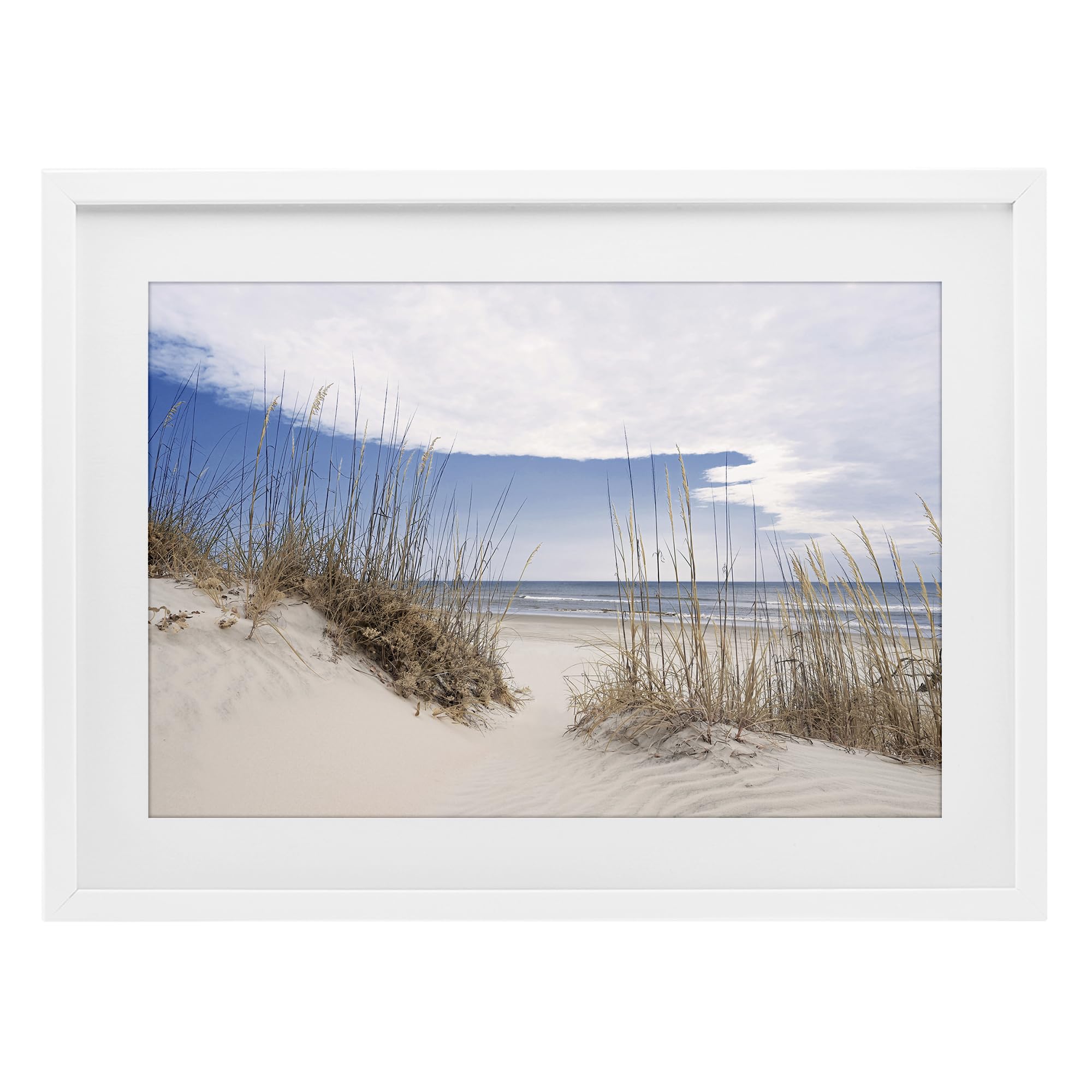Stupell Industries 'Sea Oats Along Sandy Dunes', Framed Print Under Glass, White, 23 x 17 Inches, Easy to Hang and Sturdy, Made in USA, by Natalie Carpentieri