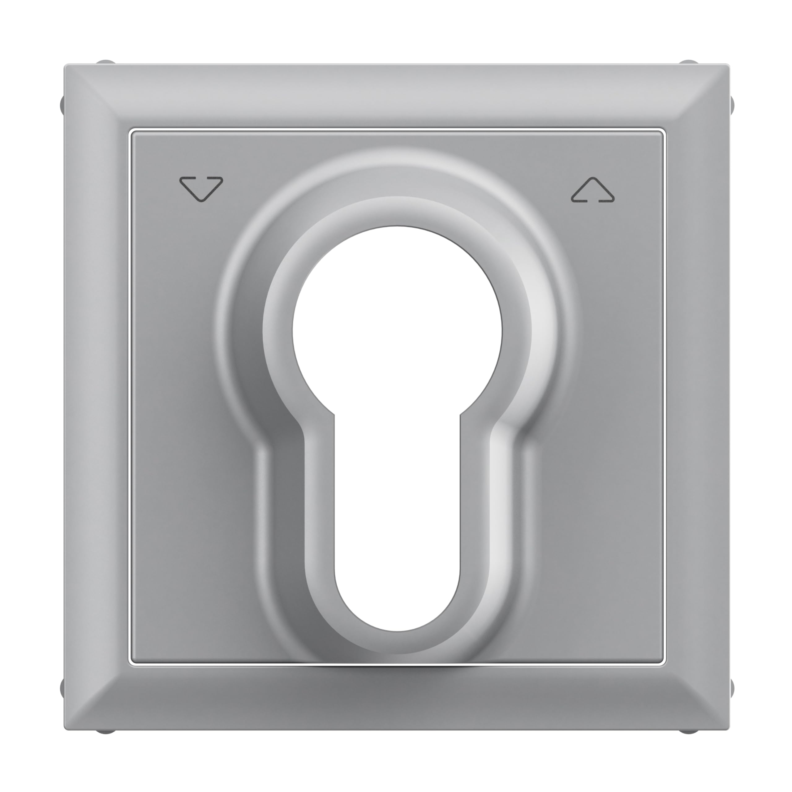 LEGRAND, Seano 765234 Cover for Key Blind Switch with DIN Half Cylinder Painted Aluminium