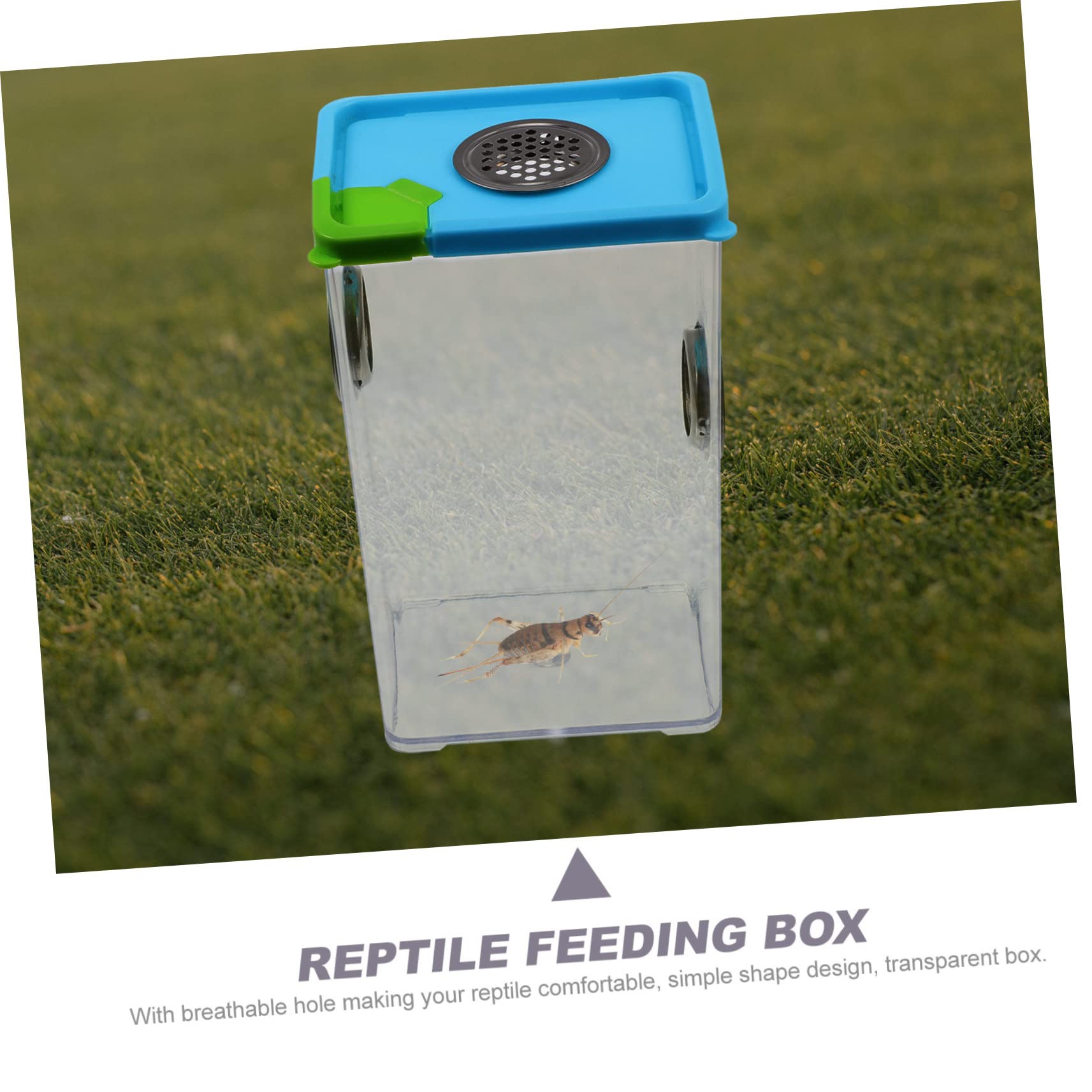 Milisten Transparent Reptile Feeding Box 6.69X4.13X3.15 Inch Lightweight Breeding Case with Ventilation for Small Lizards Spiders Frogs Corn Snakes Pet Supply - Image 4