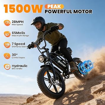 AMYET V9-G60 Electric Bike for Adults, 48V 20Ah(960WH) Ebike with Removable Battery, 20 Fat Tire E Dirt Bike,Dual Shock Absorber, Adults Electric Bike with UL 2849 Certificaed