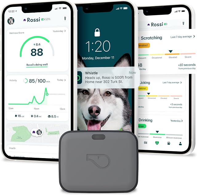 Whistle GO Explore GPS + Health + Fitness Dog Tracker Plus Health & Fitness Monitor, Waterproof, Safe Place Escape Alerts, Built-in Light, Fits on Dog Collar, for Dogs 25 lbs and up Grey