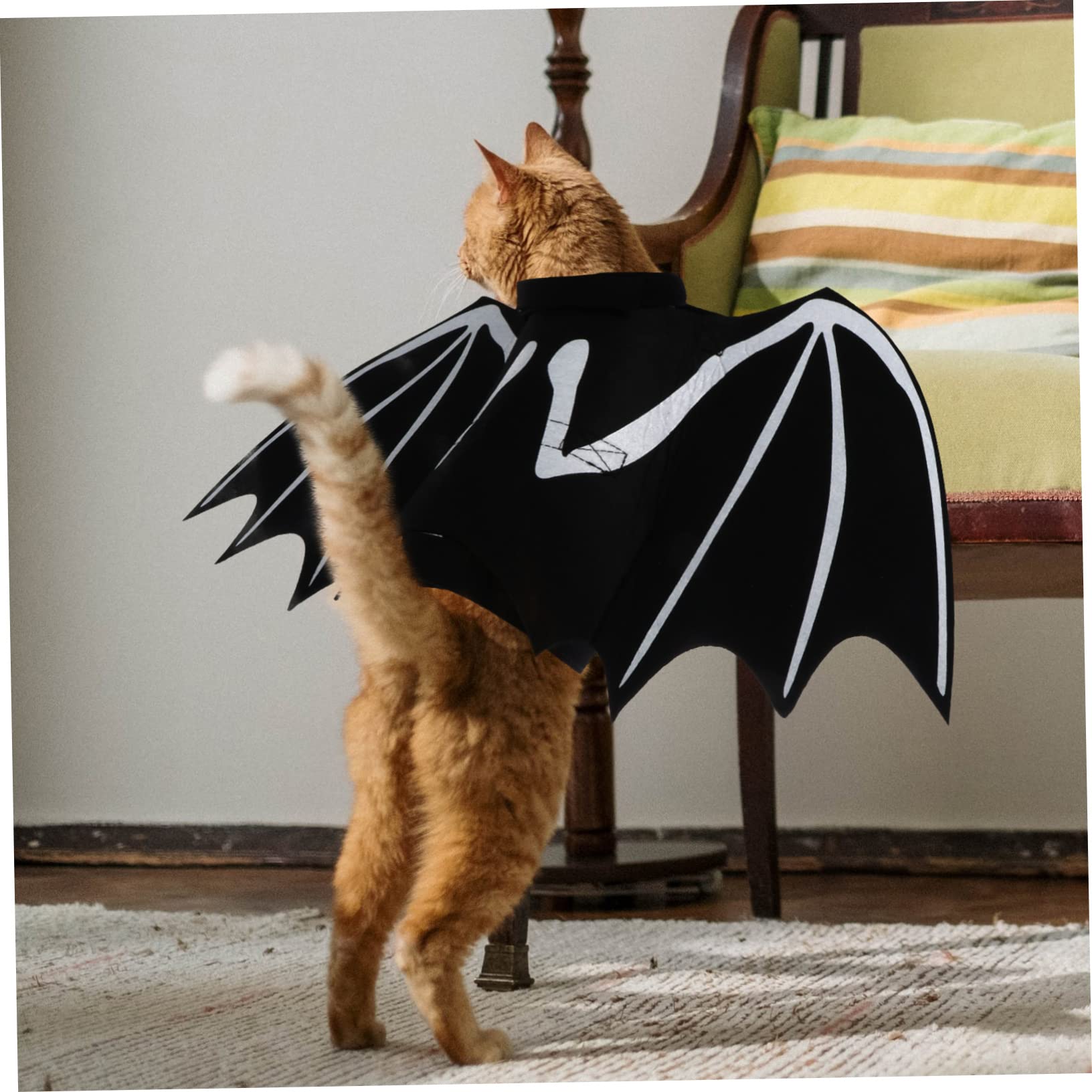 Happyyami 3pezzi Costume Per Animali Domestici Halloween Con Da Pipistrello Luminose Abbigliamento Per Gatti e Cani Pet Supplies Creativi e Confortevoli