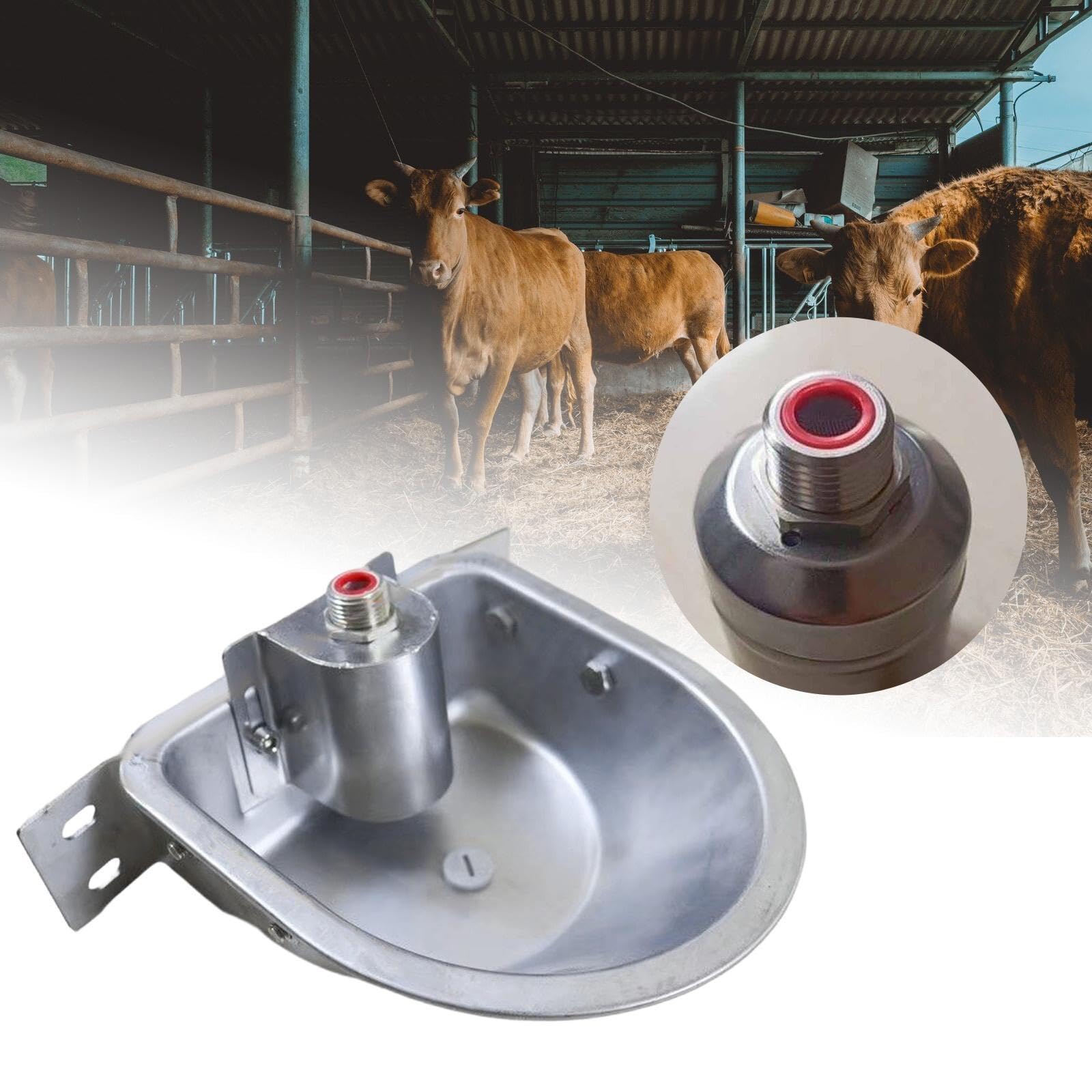 Fontana per abbeveratoio Automatica per Pecore, distributore Automatico di Acqua per bovini, maialini, vitelli, Prato, con Foro di Scarico