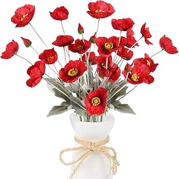 71nuOaVxdbL._AC_UF350,