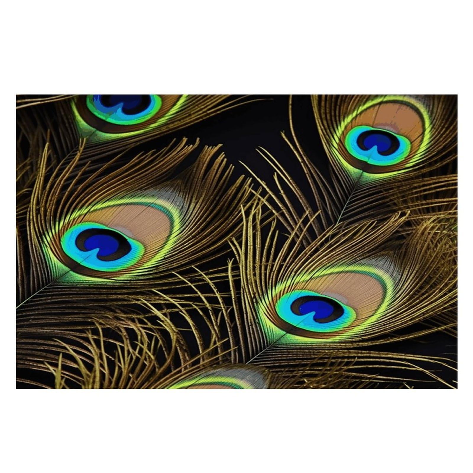 Peacock Feathers Placemats Wipeable Heat Resistant Table Mats Washable Flax Place Mats Elegant Cloth Non-Slip Placemat for Kitchen Dinning Party Table Decor 12 * 18 in