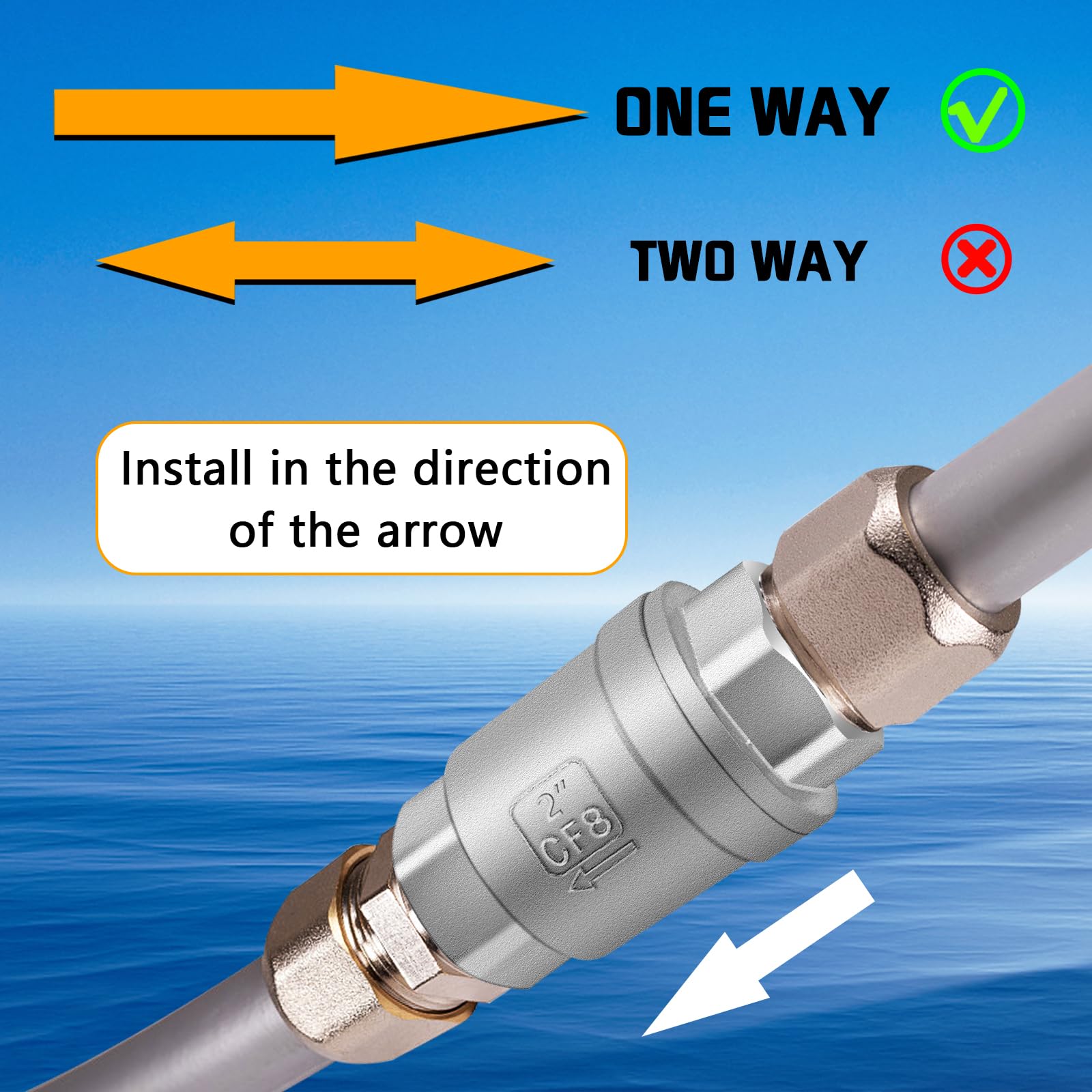 Snapklik.com : 2 Inch Spring Check Valve, 304 Stainless Steel CF8 Non ...