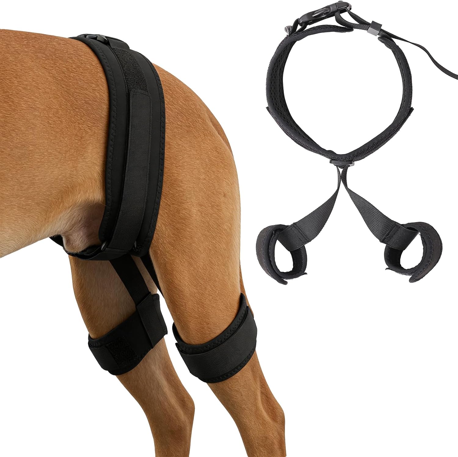 Dog Hip Brace for Hip Dysplasia - Adjustable Support Brace for Dog Arthritis & Joint Stability, Relieves Pain & Improves Mobility, Quick-Adjust Buckles for Secure Fit, (Black, Large)