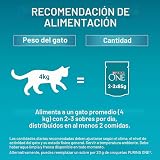 Ver la foto 6