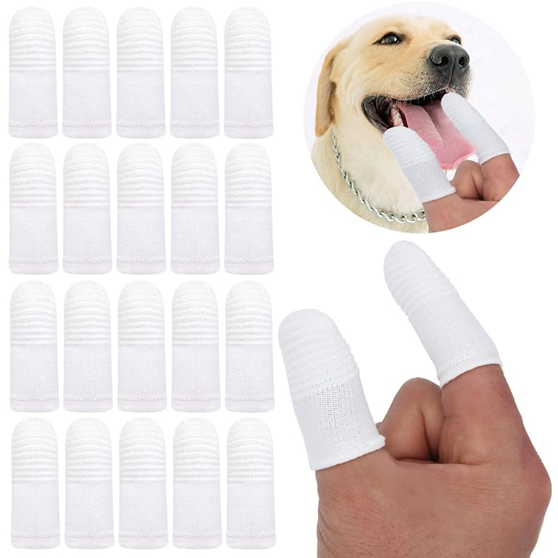 Escova de Dente Digital para Cães e Gatos QZCCDZBB, 12 Unidades