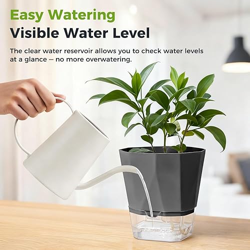 Miniatura 9 de Paquete de 5 macetas de riego automático para plantas de interior, macetas de riego automático de 5/6.7/8.4 pulgadas, color violeta africano, Gris