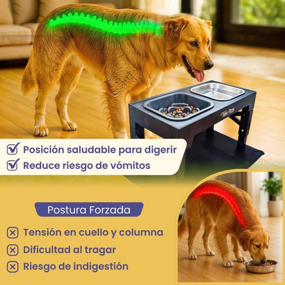 Comedero Perro Elevado 5 Alturas | Bebedero y Comederos para Perros Medianos y Grandes Acero 2 x 1400ml, Comedero Lento para Perros 1 x 1200ml, Alfombra + Porta Bolsas Paseo | 3 Cuencos