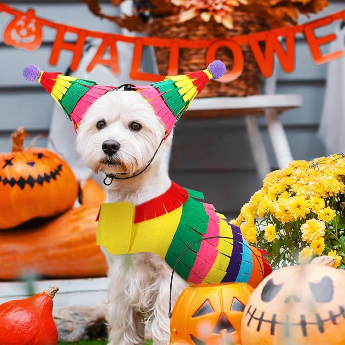 Disfraz de perro calabaza mexicano Halloween ajustable tamaño M miniatura 3