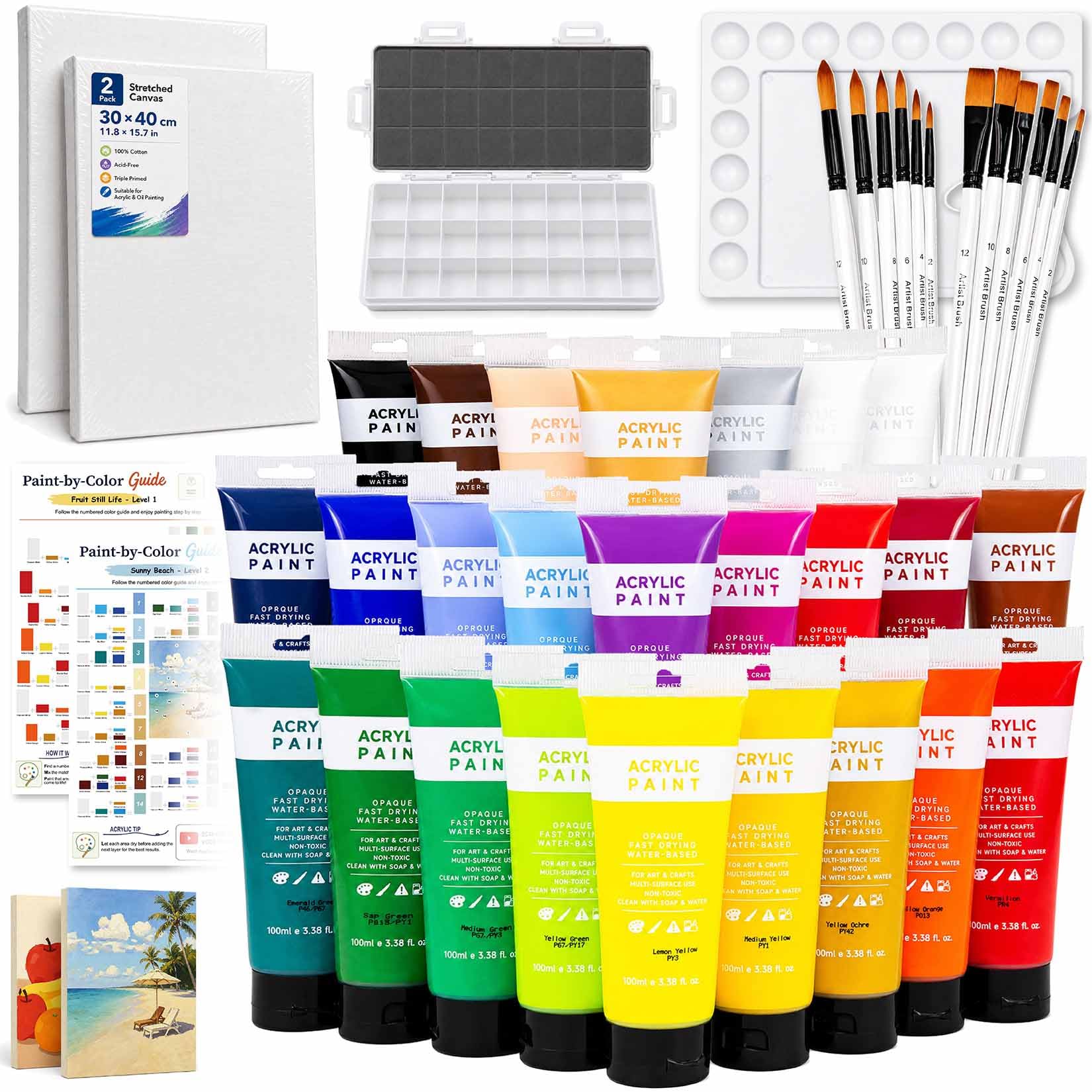 Acrylic Painting Kit, 25x100ml/3.38oz Paint Set with Canvases and Brushes