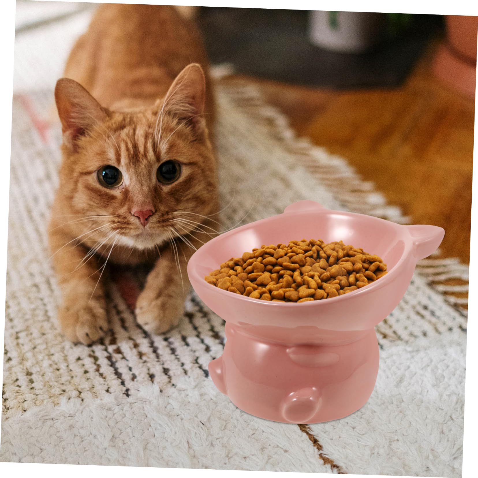 INOOMP 3piezas Comedero Elevado para Gatos De Cerámica con Base Antideslizante De Plato para Comida y Agua para Gatos De Interior y Decoración del Hogar