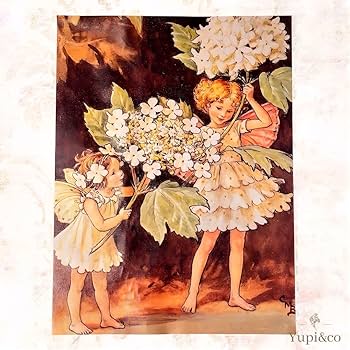 フラワーフェアリーズ 全8巻 収納ケース付 シシリー・メアリー・バーカー フラワーフェアリーズ 全8巻 収納ケース付 シシリー・メアリー