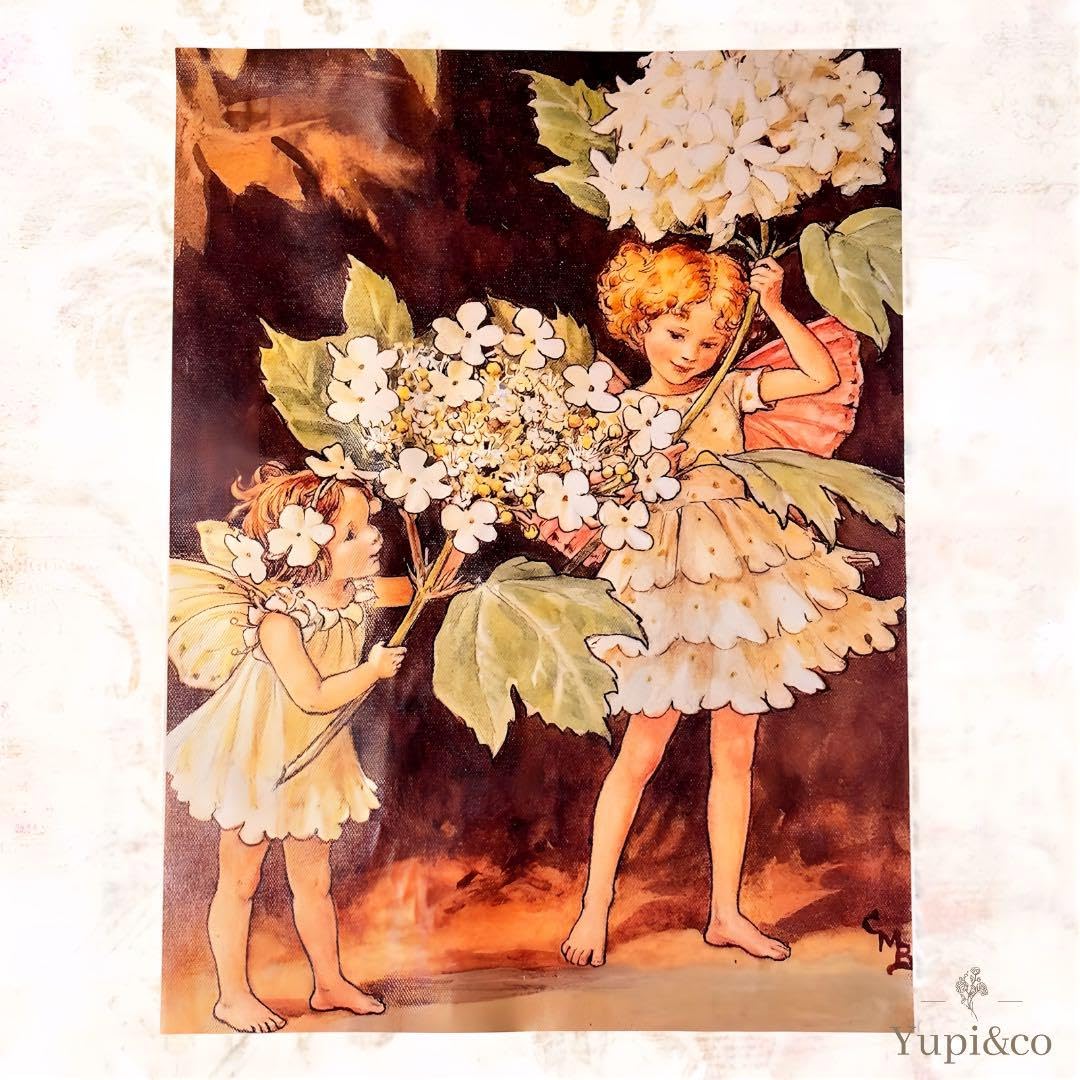 Flower Fairy Pop-up Theater：シシリーメアリーバーカー Amazon.co.jp: シシリーメアリーバーカー フラワーフェアリーズ