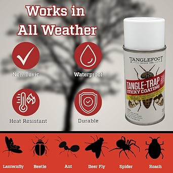 Tanglefoot Tangle-Trap Sticky Coating Aerosol Spray, 10oz Long-Lasting Adhesive for DIY Insect Traps, Garden & Home Use, Easy Application