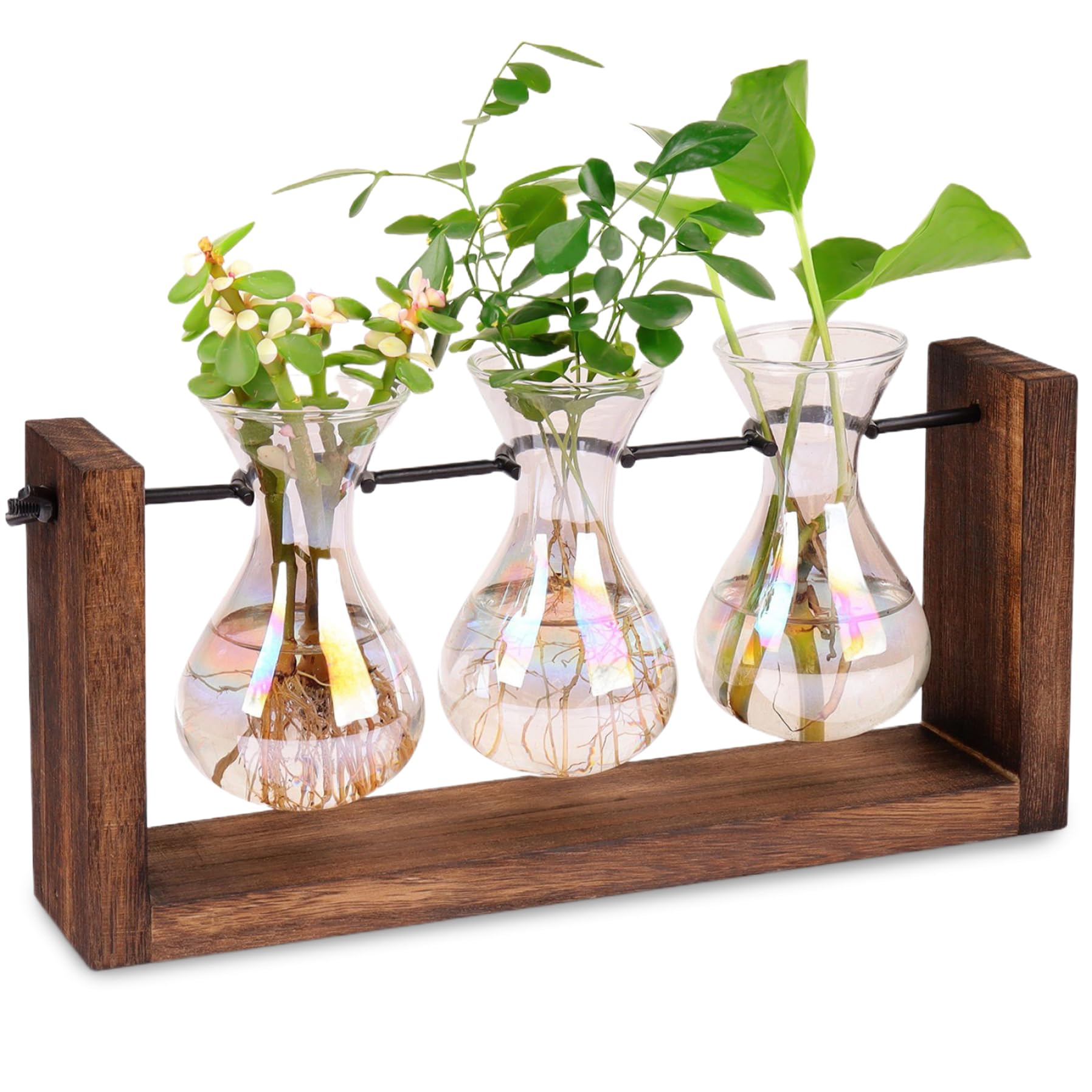Station de propagation de plantes le cadeau idéal pour amoureux de nature
